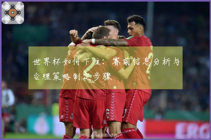 世界杯如何下注：赛前信息分析与合理策略制定步骤